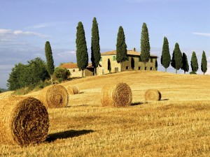Market Confidence in Italy Hits New Lows – Berlusconi to Face New Rounds of Confidence Votes