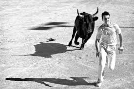 chased by bull
